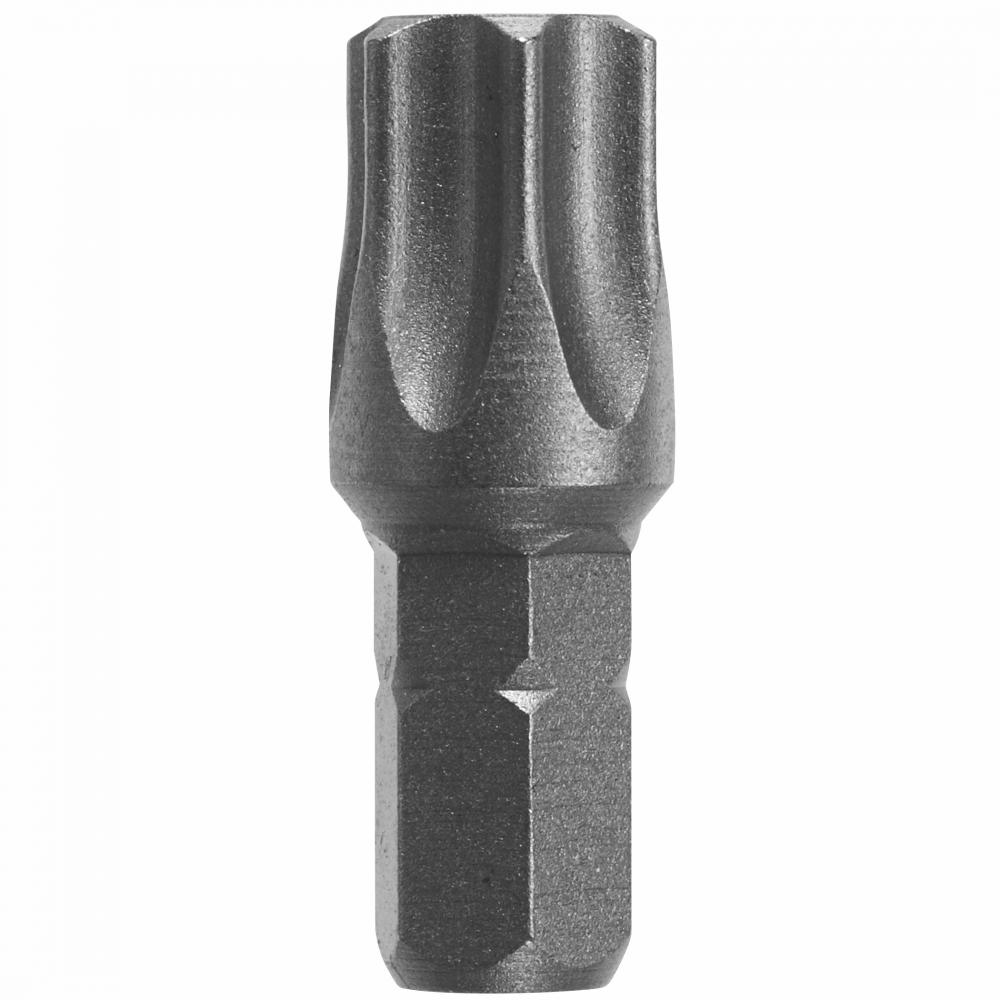 1-1/4 In. Torx® Insert Bit, T55 Poi<span class=' ItemWarning' style='display:block;'>Item is usually in stock, but we&#39;ll be in touch if there&#39;s a problem<br /></span>