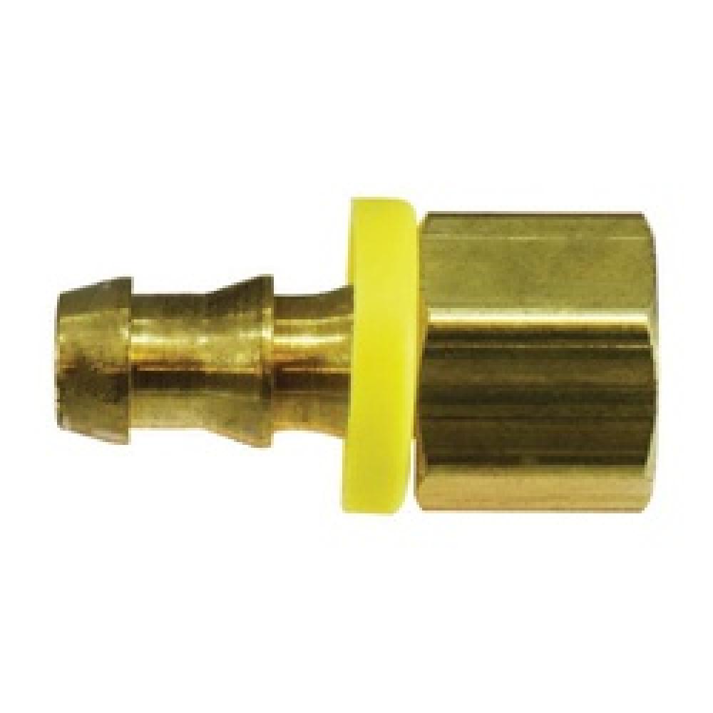 ADAPTER FEM RGD 5/8IN PUSH-ON HOSE BARB<span class=' ItemWarning' style='display:block;'>Item is usually in stock, but we&#39;ll be in touch if there&#39;s a problem<br /></span>