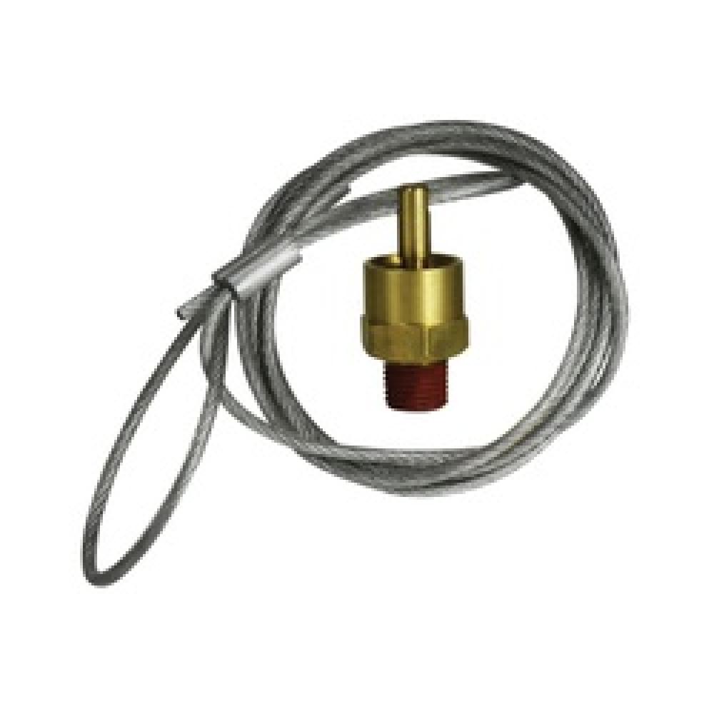 VALVE DR TANK AIR 1/4IN MIP BRS 150PSI<span class=' ItemWarning' style='display:block;'>Item is usually in stock, but we&#39;ll be in touch if there&#39;s a problem<br /></span>