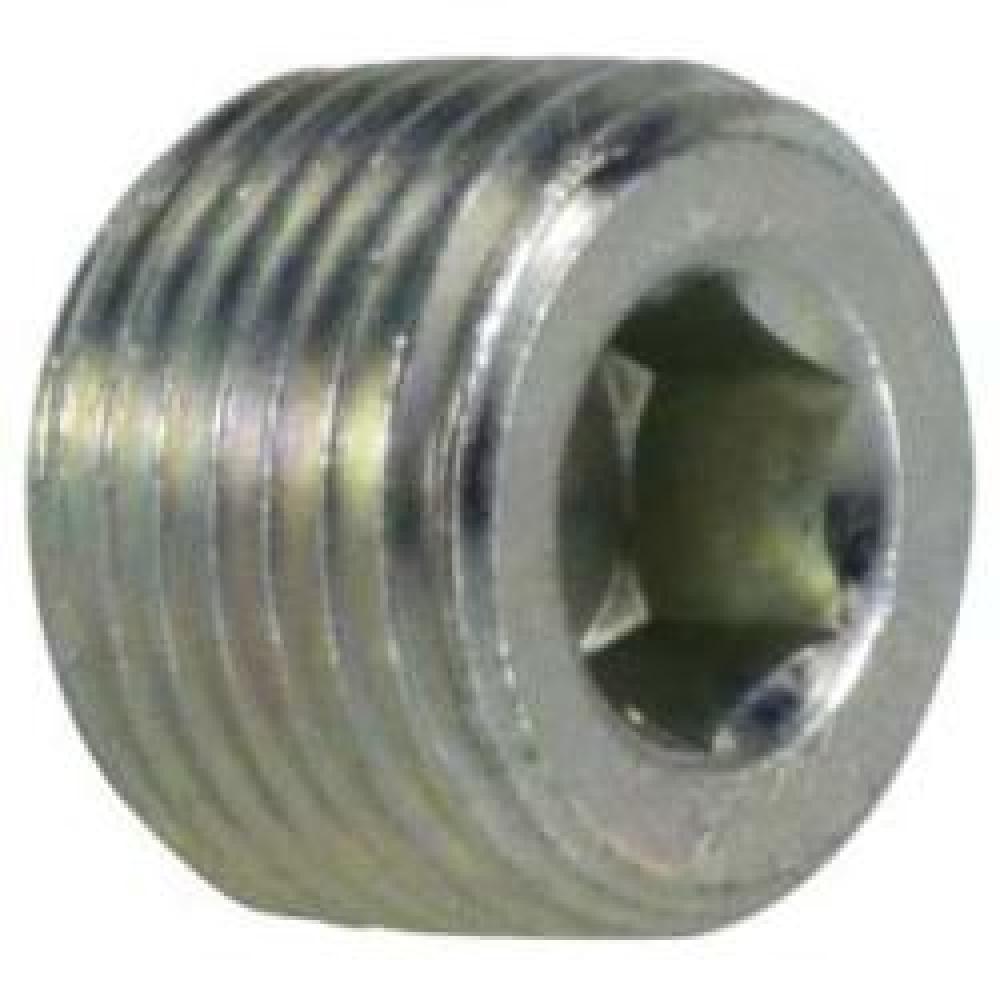 PLUG HEX HOL 1IN MPT STL 2000PSI<span class=' ItemWarning' style='display:block;'>Item is usually in stock, but we&#39;ll be in touch if there&#39;s a problem<br /></span>