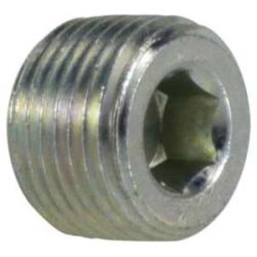 PLUG HEX HOL 1/8IN MPT STL 5000PSI<span class=' ItemWarning' style='display:block;'>Item is usually in stock, but we&#39;ll be in touch if there&#39;s a problem<br /></span>