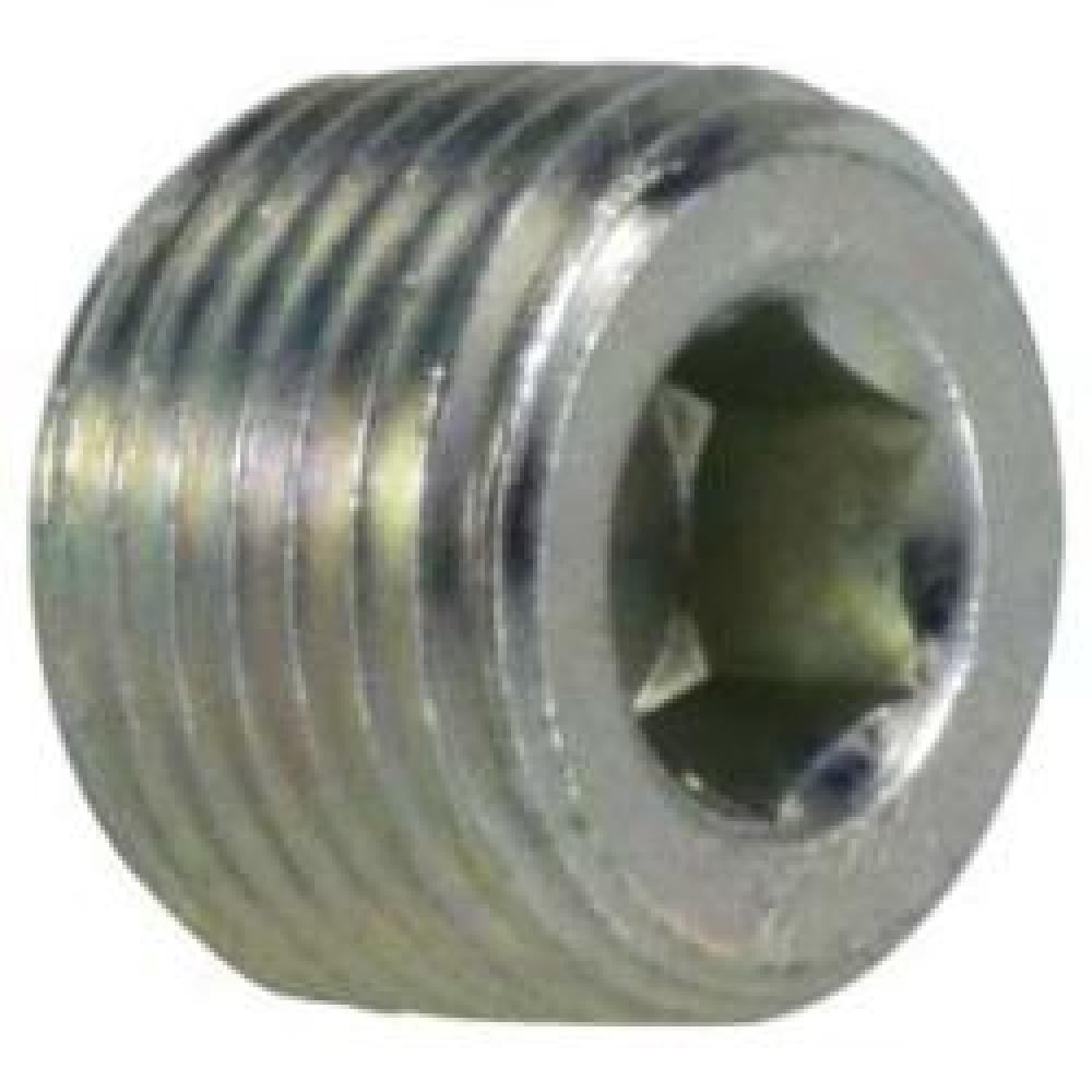 PLUG HEX HOL 1/4IN MPT STL 4000PSI<span class=' ItemWarning' style='display:block;'>Item is usually in stock, but we&#39;ll be in touch if there&#39;s a problem<br /></span>