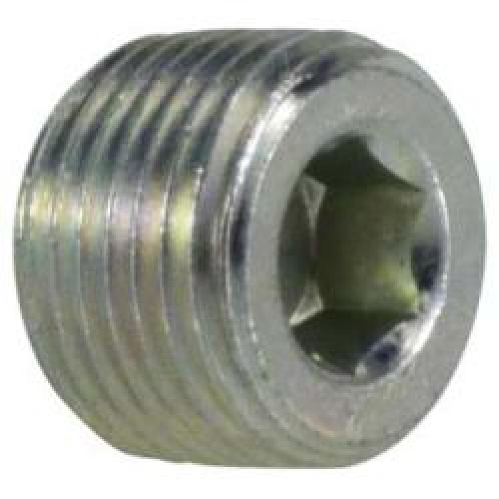 PLUG HEX HOL 1/2IN MPT STL 3000PSI<span class=' ItemWarning' style='display:block;'>Item is usually in stock, but we&#39;ll be in touch if there&#39;s a problem<br /></span>