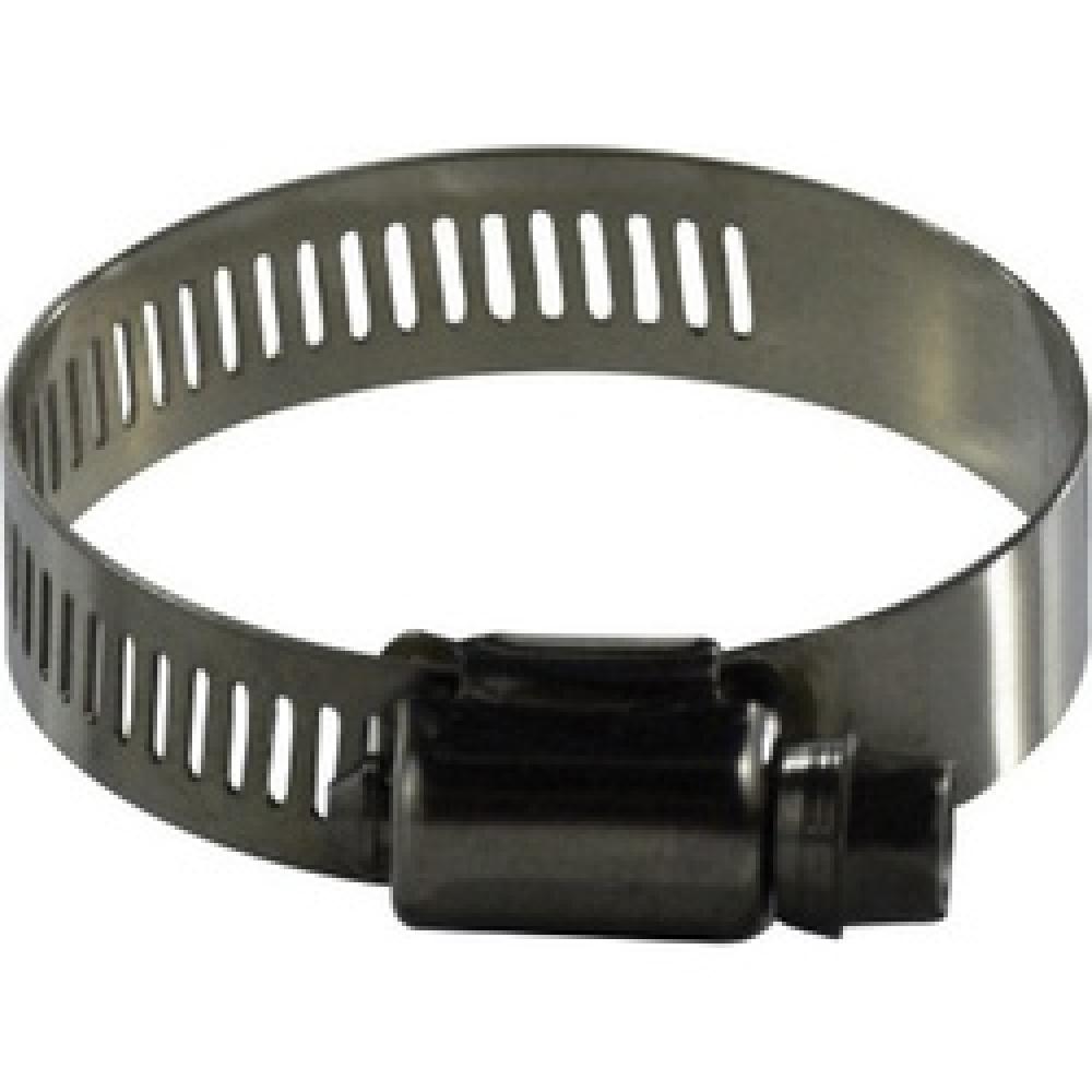 CLAMP DR WORM BAND WIDE 1-5/16IN 2-1/4IN<span class=' ItemWarning' style='display:block;'>Item is usually in stock, but we&#39;ll be in touch if there&#39;s a problem<br /></span>