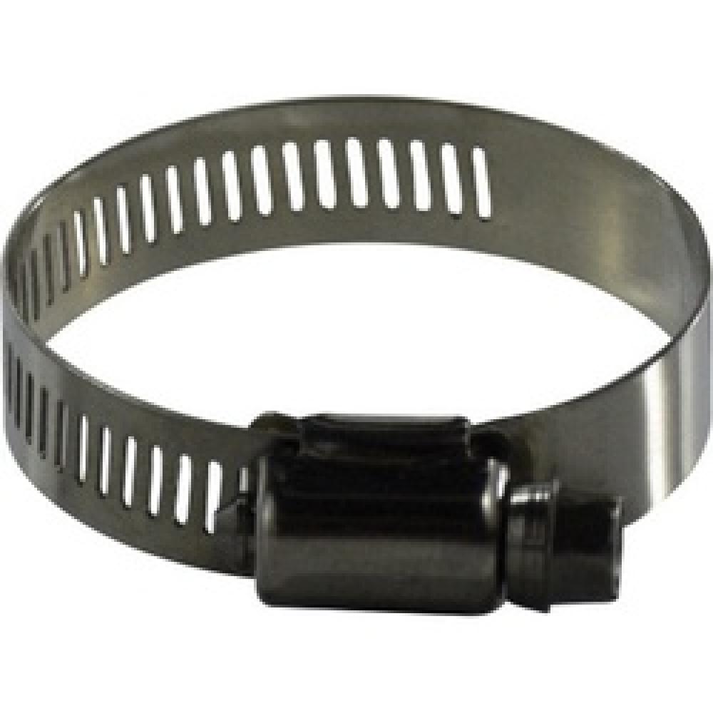 CLAMP DR WORM BAND WIDE 1-9/16IN 2-1/2IN<span class=' ItemWarning' style='display:block;'>Item is usually in stock, but we&#39;ll be in touch if there&#39;s a problem<br /></span>