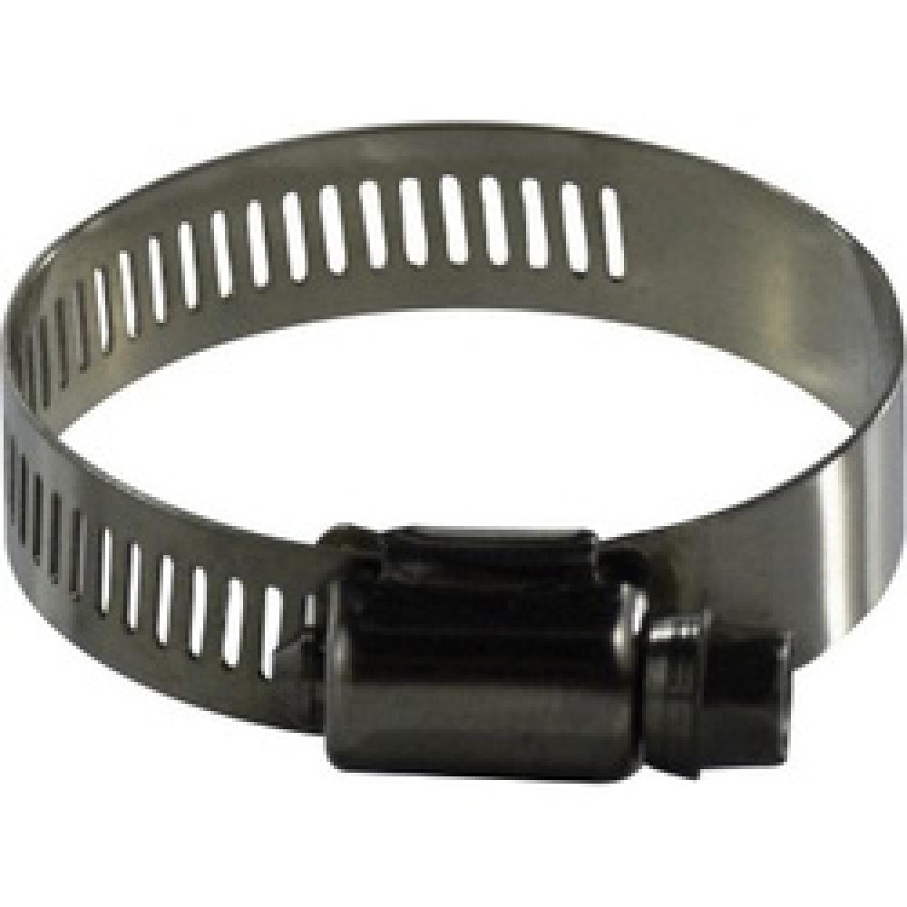 CLAMP DR WORM BAND WIDE 2-9/16IN 3-1/2IN<span class=' ItemWarning' style='display:block;'>Item is usually in stock, but we&#39;ll be in touch if there&#39;s a problem<br /></span>