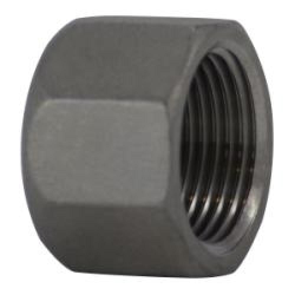 CAP HEX BARSTOCK 1/2IN FPT SST 150LB<span class=' ItemWarning' style='display:block;'>Item is usually in stock, but we&#39;ll be in touch if there&#39;s a problem<br /></span>