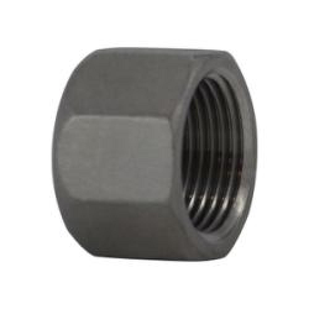 CAP HEX BARSTOCK 1/4IN FPT SST 150LB<span class=' ItemWarning' style='display:block;'>Item is usually in stock, but we&#39;ll be in touch if there&#39;s a problem<br /></span>