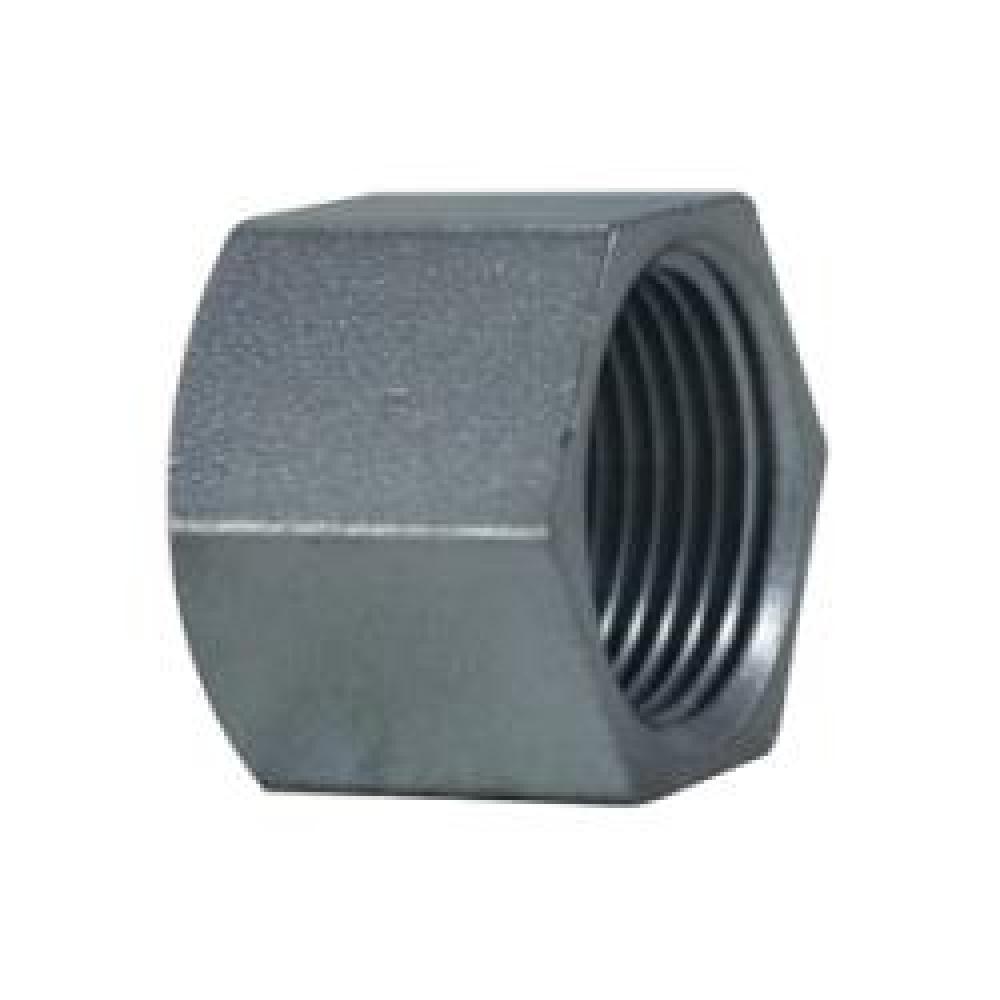 CAP HEX 3/8IN FNPT STL ZINC-PLD 150LB<span class=' ItemWarning' style='display:block;'>Item is usually in stock, but we&#39;ll be in touch if there&#39;s a problem<br /></span>