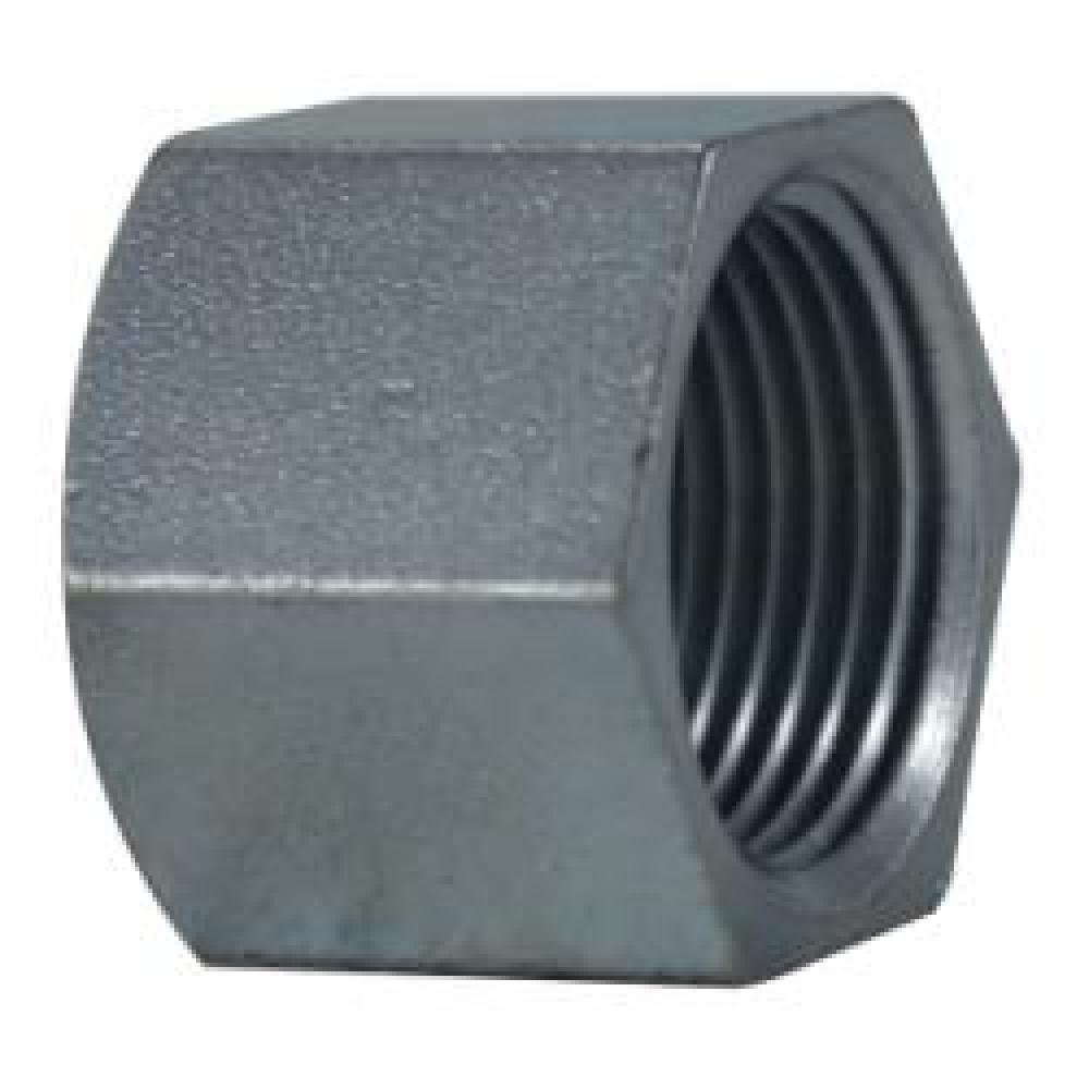 CAP HEX 2IN NPT STL ZINC-PLD 150LB<span class=' ItemWarning' style='display:block;'>Item is usually in stock, but we&#39;ll be in touch if there&#39;s a problem<br /></span>