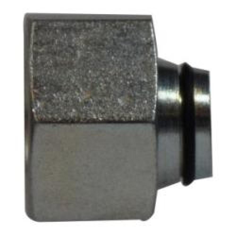 NUT AND INSR PLUG 12IN STL<span class=' ItemWarning' style='display:block;'>Item is usually in stock, but we&#39;ll be in touch if there&#39;s a problem<br /></span>