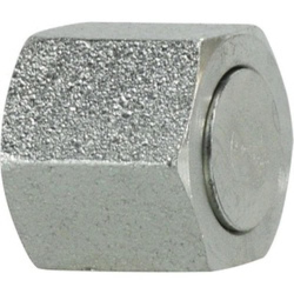 CAP 3/4IN STL 6000PSI 375DEG F<span class=' ItemWarning' style='display:block;'>Item is usually in stock, but we&#39;ll be in touch if there&#39;s a problem<br /></span>