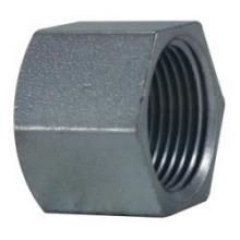 Buchanan 66478 - CAP HEX 2IN NPT STL ZINC-PLD 150LB