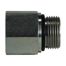 Buchanan 704222 - ADAPTER 1/8IN FIP 1/8IN MALE BSPP STL