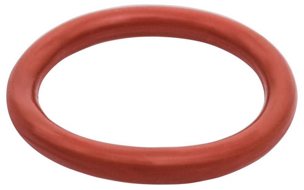 FLANGE RETENTION RING-PKG/10<span class=' ItemWarning' style='display:block;'>Item is usually in stock, but we&#39;ll be in touch if there&#39;s a problem<br /></span>