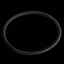 Walter Surface 54B609 - O-RING FOR GRAPHITE INSERT (100 MM)