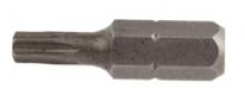 Dynaline 78400 - S2 TORX T10x1"