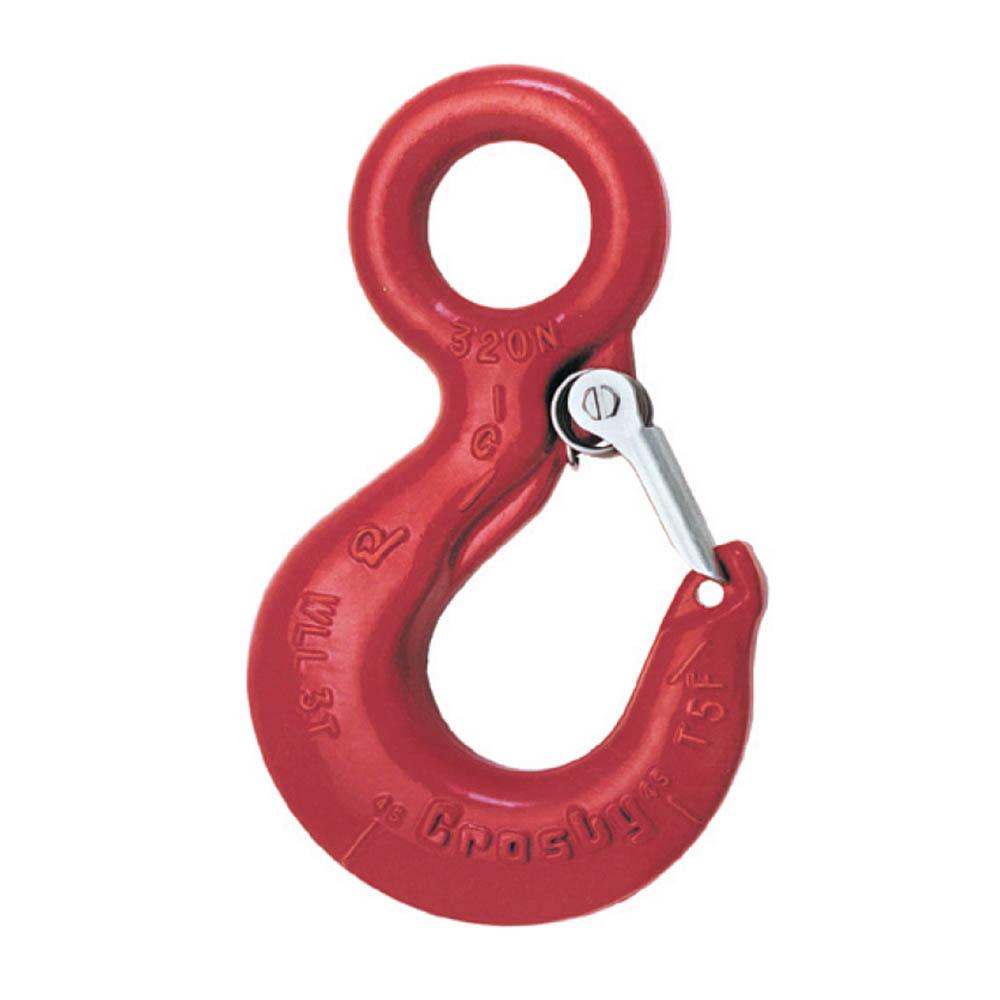 Alloy - L-320AN - Eye Hook W/Latch<span class=' ItemWarning' style='display:block;'>Item is usually in stock, but we&#39;ll be in touch if there&#39;s a problem<br /></span>