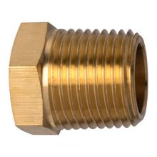 Paulin D110-EC - 1/8X1/8" Pipe Bushing Brass