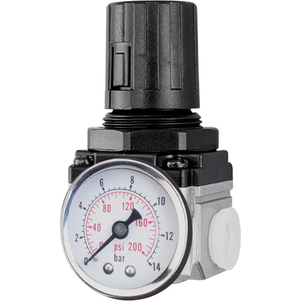 Air Regulator (Gauge Included)<span class=' ItemWarning' style='display:block;'>Item is usually in stock, but we&#39;ll be in touch if there&#39;s a problem<br /></span>