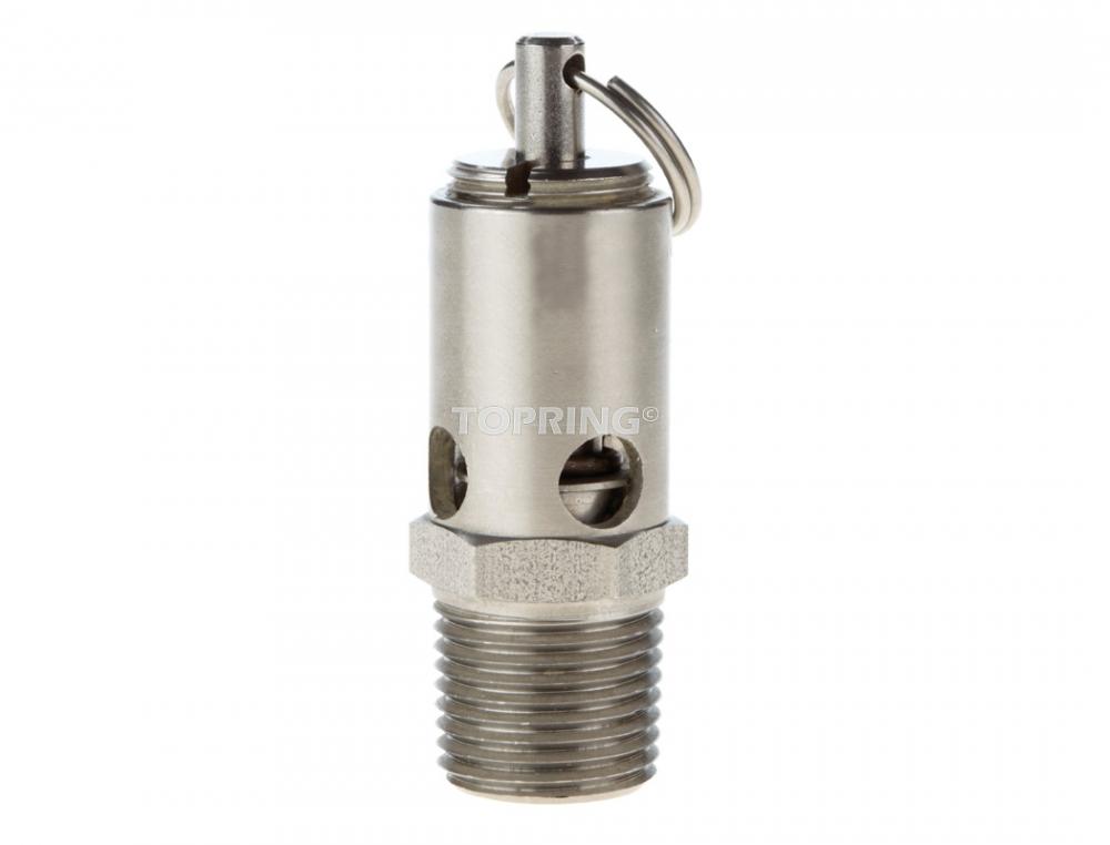 Stainless Steel Pressure Relief Valve 1/2 (M) NPT 200 PSI<span class=' ItemWarning' style='display:block;'>Item is usually in stock, but we&#39;ll be in touch if there&#39;s a problem<br /></span>