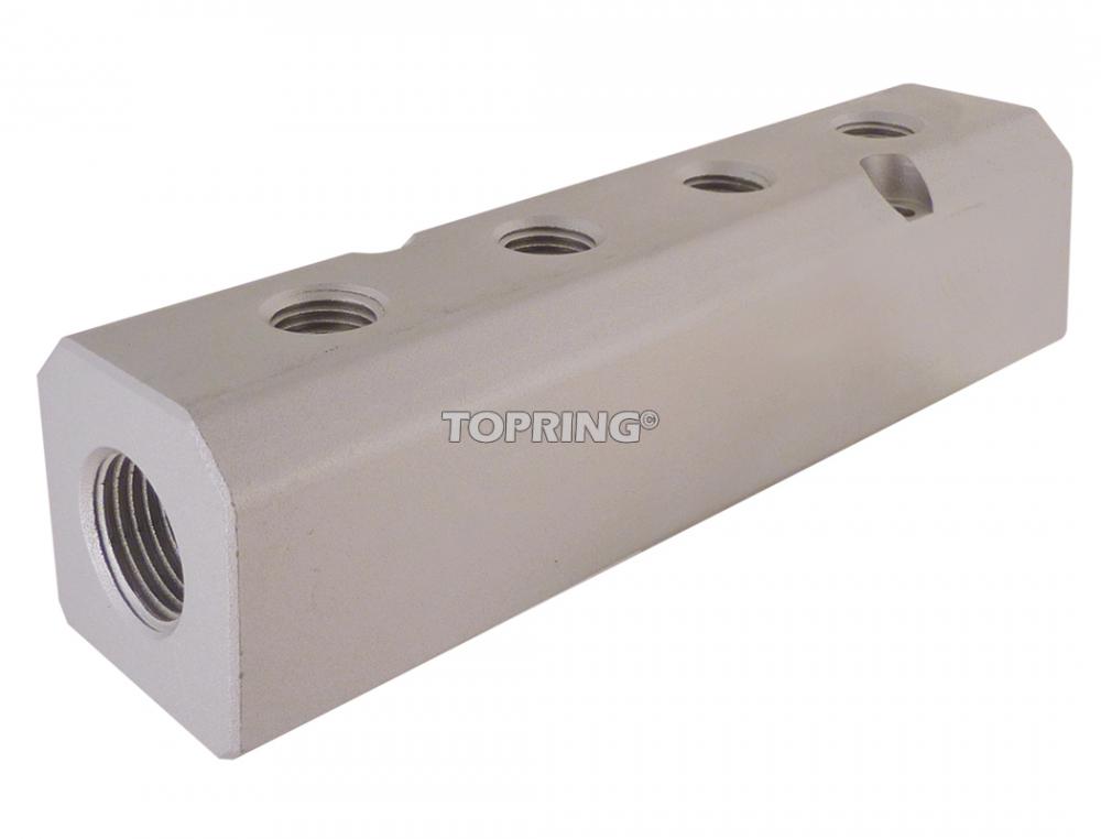 4 Port Aluminum Manifold 1/2 (F) NPT With 1/4 (F) NPT Outlet<span class=' ItemWarning' style='display:block;'>Item is usually in stock, but we&#39;ll be in touch if there&#39;s a problem<br /></span>