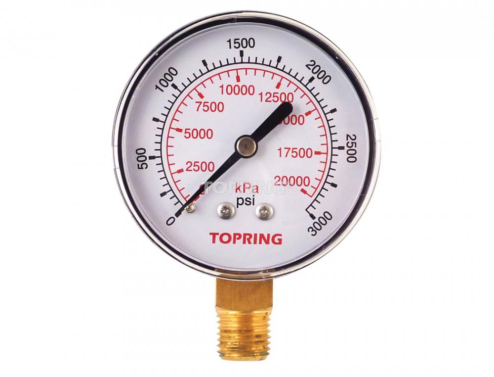 2 1/2 In. Steel Dry Vacuum Gauge 0 to 3000 PSI<span class=' ItemWarning' style='display:block;'>Item is usually in stock, but we&#39;ll be in touch if there&#39;s a problem<br /></span>