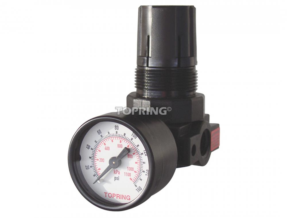 Acetal Pressure Regulator 0 to 120 PSI 1/4 (F) NPT<span class=' ItemWarning' style='display:block;'>Item is usually in stock, but we&#39;ll be in touch if there&#39;s a problem<br /></span>