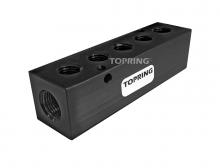 Topring 47.423 - 5 Port Aluminum Manifold 3/8 (F) NPT With 1/4 (F) NPT Outlet