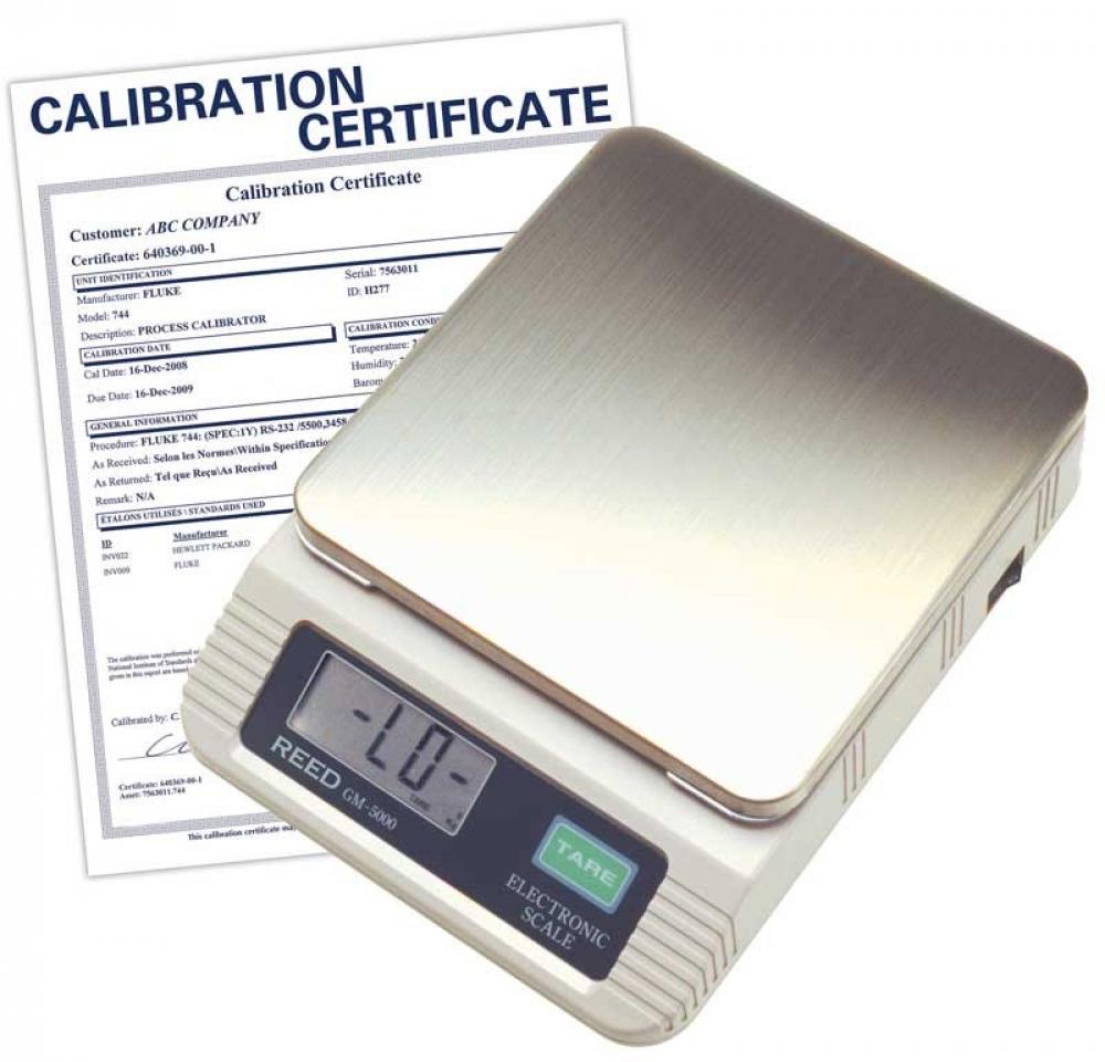 REED GM5000-NIST Electronic Scale<span class=' ItemWarning' style='display:block;'>Item is usually in stock, but we&#39;ll be in touch if there&#39;s a problem<br /></span>