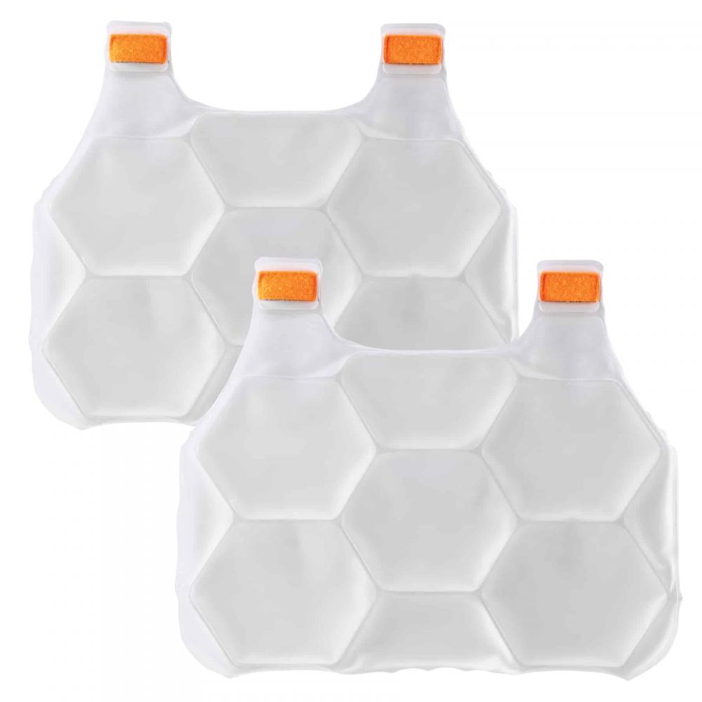 6220 L/XL Clear Phase Change Cooling Vest Charge Packs<span class=' ItemWarning' style='display:block;'>Item is usually in stock, but we&#39;ll be in touch if there&#39;s a problem<br /></span>