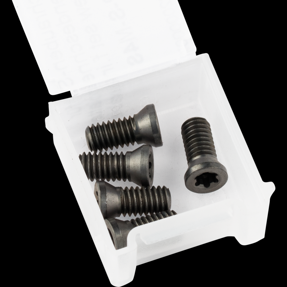 PFERD ALUMASTER Replacement Screw Set M4 - 5 Screws<span class=' ItemWarning' style='display:block;'>Item is usually in stock, but we&#39;ll be in touch if there&#39;s a problem<br /></span>