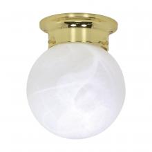 Nuvo 60/255 - 1 LT - 6" BALL FLUSH FIXTURE