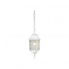 Nuvo 60/4911 - ADAMS 1 LGT OUTDOOR HANGING