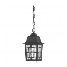 Nuvo 60/4933 - BANYAN 1 LGT OUTDOOR HANGING