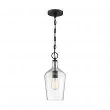 Nuvo 60/6749 - HARTLEY 1 LIGHT PENDANT