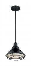 Nuvo 60/7003 - NEWBRIDGE 1LT SMALL PENDANT