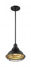 Nuvo 60/7013 - NEWBRIDGE 1LT SMALL PENDANT