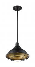 Nuvo 60/7014 - NEWBRIDGE 1LT LARGE PENDANT