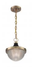 Nuvo 60/7059 - FARO 1 LIGHT SMALL PENDANT