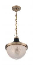 Nuvo 60/7060 - FARO 1 LIGHT LARGE PENDANT