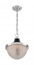 Nuvo 60/7070 - FARO 1 LIGHT LARGE PENDANT