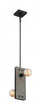 Nuvo 60/7232 - STELLA 2 LIGHT MINI PENDANT