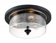 Nuvo 60/7291 - BRANSEL 3 LIGHT FLUSH MOUNT