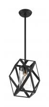 Nuvo 60/7302 - ZEMI 1 LIGHT MINI PENDANT