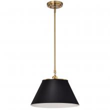 Nuvo 60/7411 - DOVER 1 LIGHT MEDIUM PENDANT