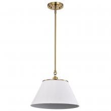 Nuvo 60/7412 - DOVER 1 LIGHT MEDIUM PENDANT