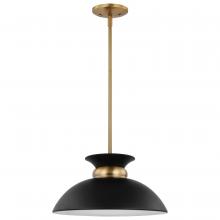 Nuvo 60/7460 - PERKINS 1 LT SMALL PENDANT