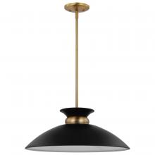 Nuvo 60/7461 - PERKINS 1 LT MEDIUM PENDANT