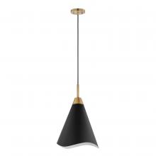 Nuvo 60/7473 - TANGO 1 LIGHT MEDIUM PENDANT